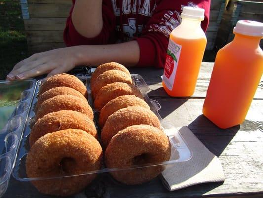 Cinnamon Apple Donuts and Apple Cider!