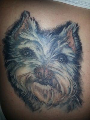 Another awesome tattoo by Nikki...a portrait of my furbaby