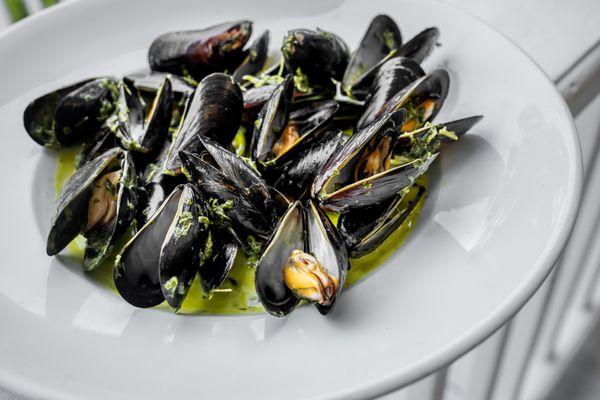 mussels in basil pistou