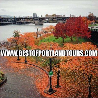 Best of Portland Tours