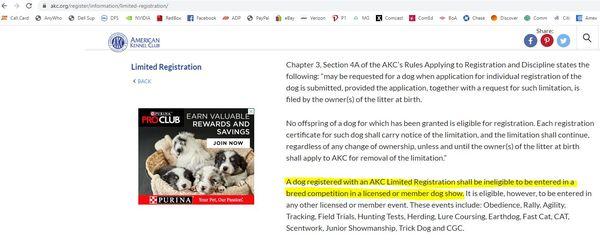 The truth about AKC limited registration.