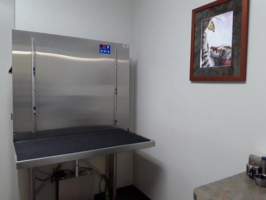 We have a lift table in Exam Room 2 for our large patients.