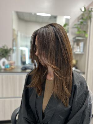 Hair extensions and grey coverage