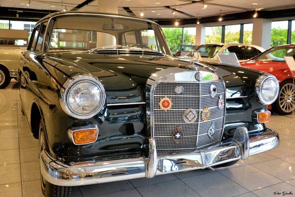 1968 Mercedes Benz 230 front end