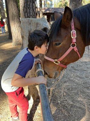 Kiss a horse, tip your guide