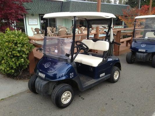 Stylish Golf Carts