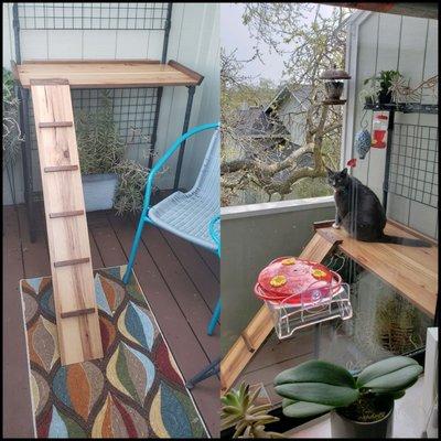 Custom made! All for bird watching from the Catio for the little prince, Kiwi. :-)  The things we do for our furbabies.