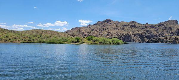 View of Saguaro Lake