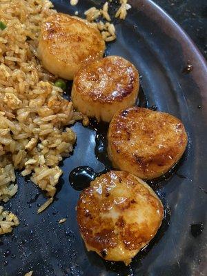 Hibachi Scallop