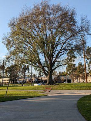 Cerritos Park East