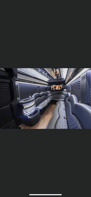 14 passenger sprinter party bus