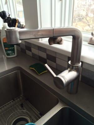 Kitchen faucet