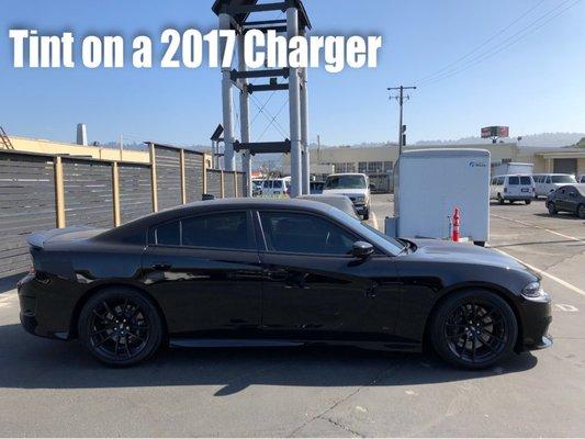 Window Tint on Dodge Charger!