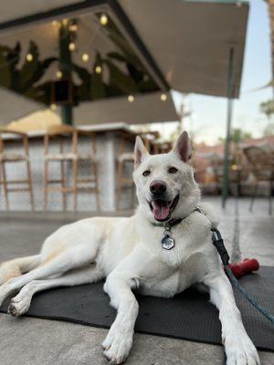 Hanging with our good boy on the patio!