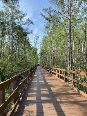 Boardwalk