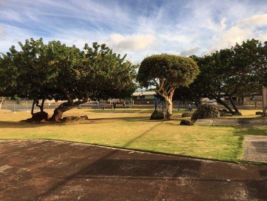 Beautiful grounds with a swing set.