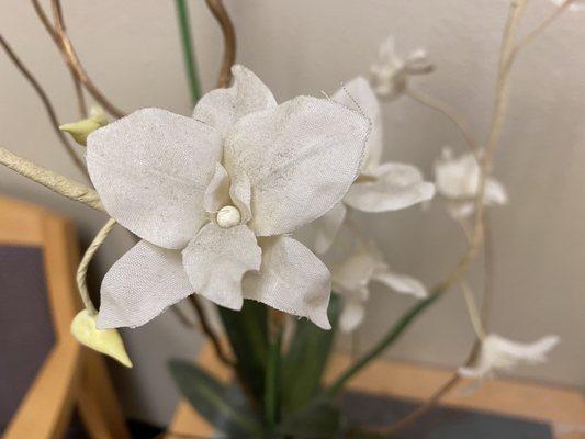 Flowers in reception room