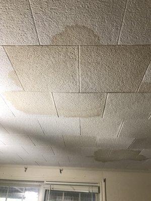 Water damage to my ceiling from roof leak.  I can't repair until leak is successfully repaired.