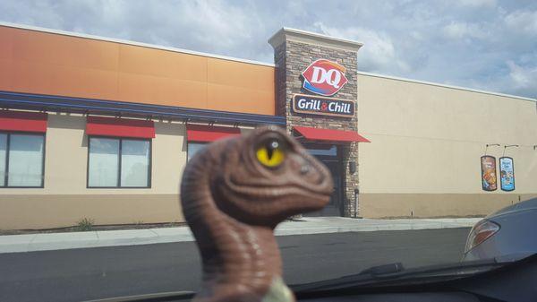 Bob the Raptor Says "Newly Renovated!