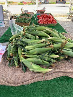 Fresh local corn .75 each