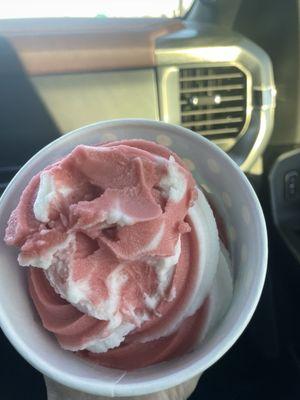 Watermelon and Euro Tart Frozen Yogurt