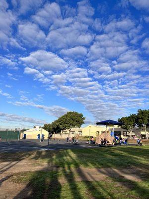 Whole playground