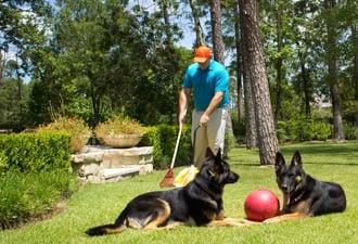 Providing weekly pet waste removal service to a residential home in Houston