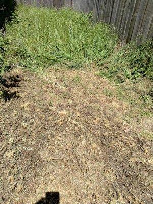 My grass was over a foot tall.  I have an older Honda mower so needed it fixed to address this mess.