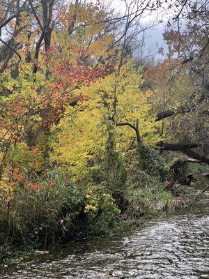 Champion park Brushy Creek