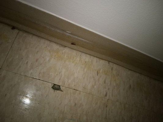 1 of 2 roaches in the hospital room