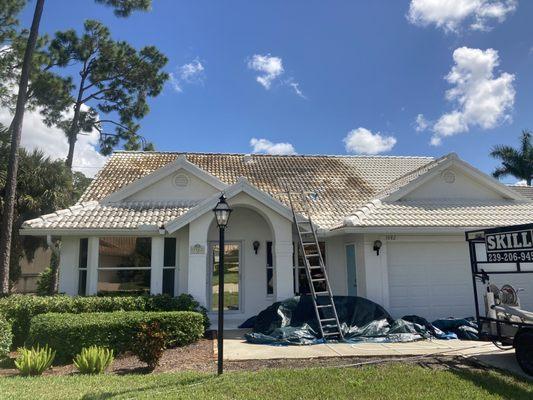 Cleaning white painted tile roof 
Left side is before and right side is after