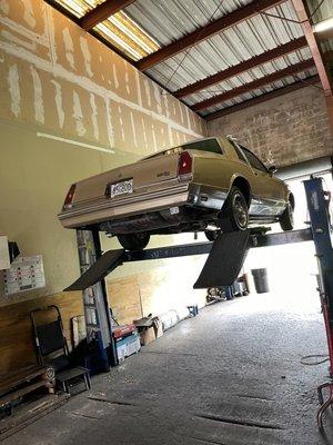 1985 Monte Carlo getting inspected and about to see what's best for it.