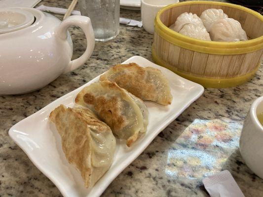 huge pot stickers