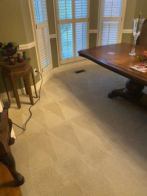 Carpet cleaning