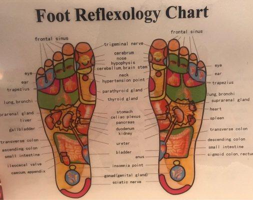 Reflexology