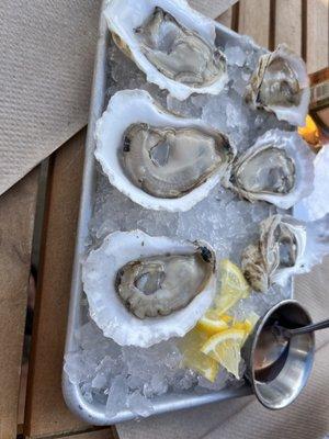 Eros oysters-get them!