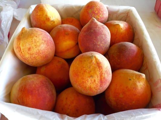 fresh peaches