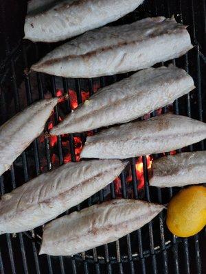 Grilled mackerel fillets