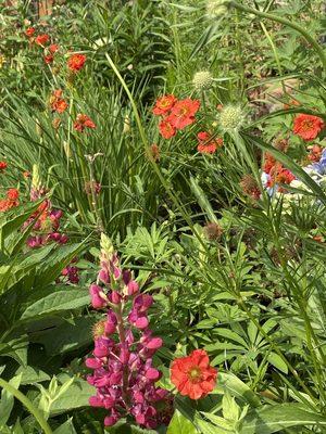 Giambrocco & Sons Garden Center