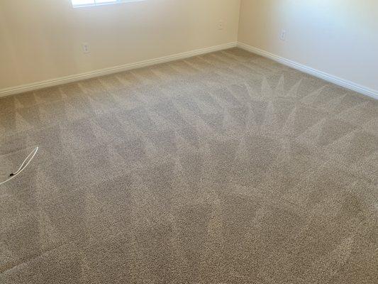 Shampoo and steam carpet cleaning