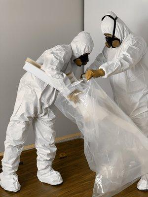 Mold Remediation Procedure