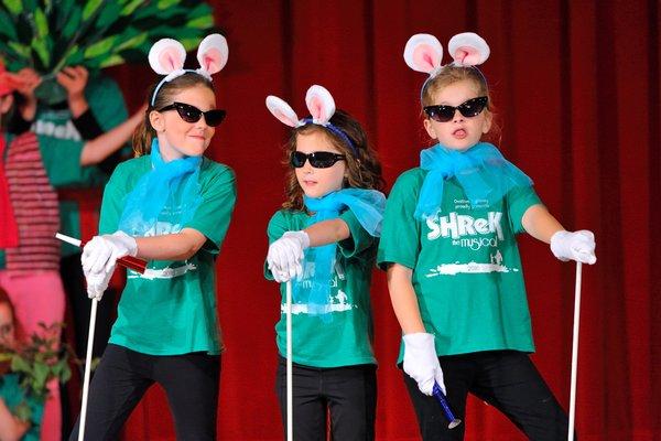 The legally sassy and legally blind Three Blind Mice in Ovation's Spring 2016 performance of Shrek the Musical!