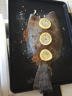 Fresh flounder headed for oven...can't wait!