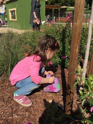 Searching for eggs in the spring with Silly Bunny!