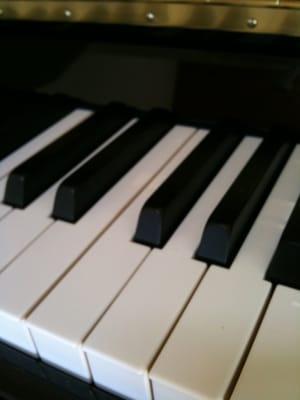 Piano and Music Theory lessons