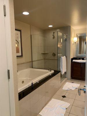 1br/2ba Primary bathroom