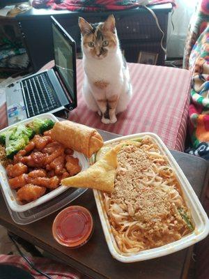 First look at the China Inn delivery. General Taos combo, crab Rangoon, and chicken Pad Thai. Lulu approves.