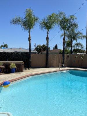 After! Although we love the full- palm tree-look, it's safer to have them trimmed around the Fourth of July.