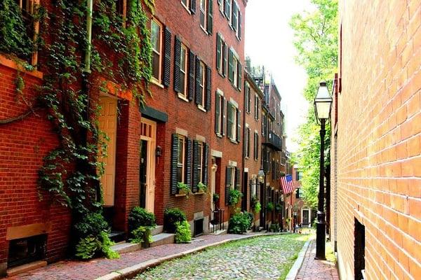 Classic Acorn Street