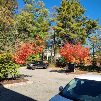 The parking lot outside with some of the trees there having their leaves changing colors for the Fall.